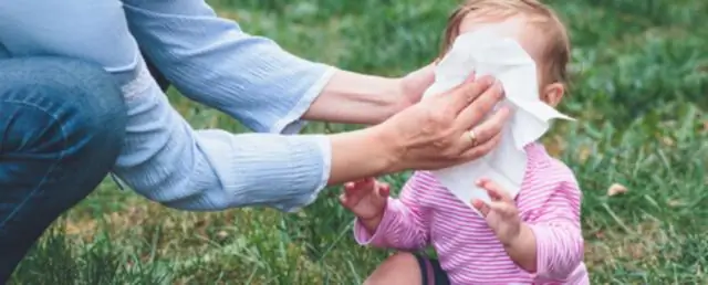 Разгадка сложности загрязнения воздуха в самой холодной столице мира