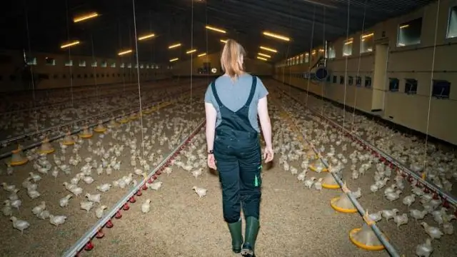 Максимальное сохранение преимуществ