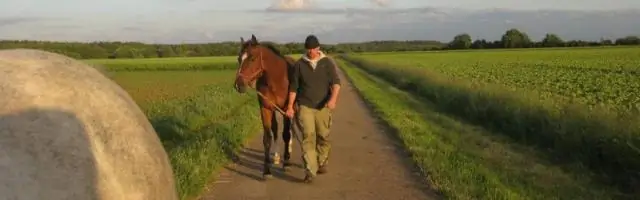 Глубоководные существа, живущие по принципу «пир или голод» из-за потоков энергии