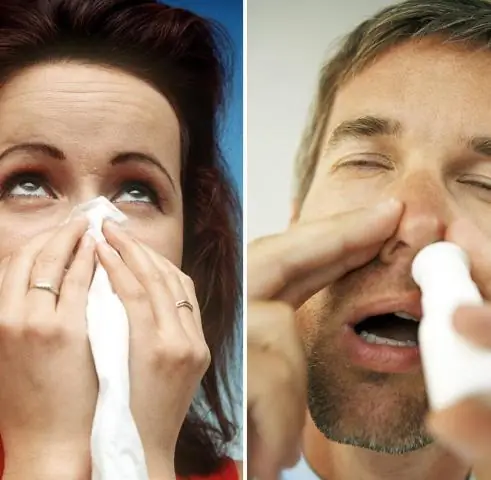 Технология редактирования генов может создать устойчивый вирус на растении маниоки