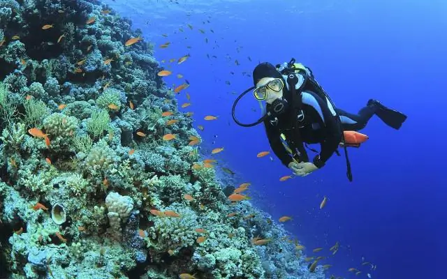 Последний шанс для биоразнообразия Мадагаскара: самые важные действия, которые необходимо предпринять новому правительству Мадагаскара, чтобы предотвратить безвозвратную утрату видов и мест обитания