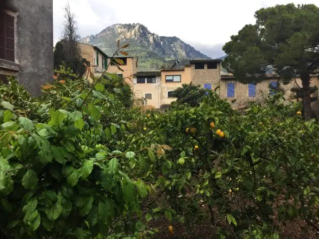 Воздействие пестицидов приводит к прекращению полета шмелей