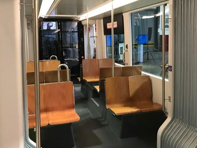 Новая модель описывает, как бактерии распространяются в разных формах