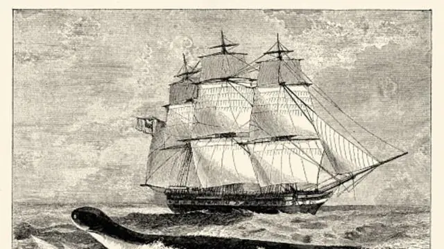 Ученые отслеживают гигантский океанский вихрь из космоса