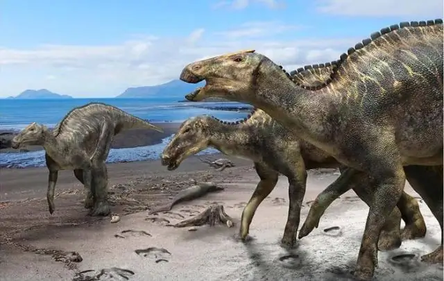 Утконосые динозавры: эволюционные всплески привели к странным и удивительным гребням на голове