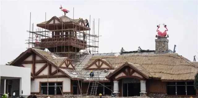 Бамбуковая диета гигантской панды по-прежнему выглядит на удивление плотоядной