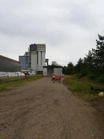 Молодые лягушки, пережившие стресс, будучи головастиками, меньше двигаются по суше, что ставит под угрозу их выживание