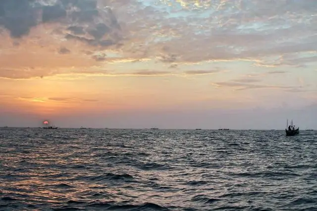 Использование пресной воды под океаном имеет последствия: исследование UD изучает опасность истощения запасов пресной воды под мировым океаном