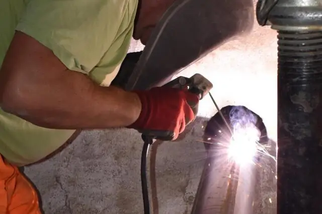 Ультрафиолетовое освещение на линиях электропередач может спасти канадских кранов