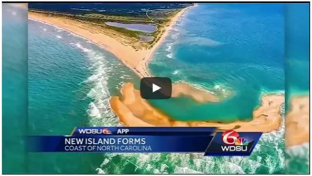 Кораблекрушения у берегов Северной Каролины, США, стали приютом для тропических мигрантов: искусственные рифы являются предпочтительной средой обитания для тропических рыб, ищущих благоприятную среду 