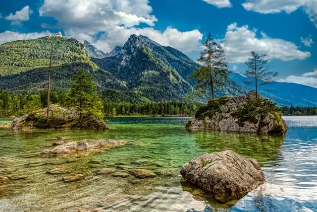 Генетическая адаптация к изменению климата: Неучет генетической изменчивости может привести к переоценке риска исчезновения