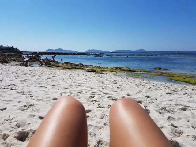 Близкие родственники могут сосуществовать: два вида цветов показывают нам, как