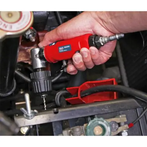 Триггер для направленного движения клеток: самоорганизующаяся система позволяет подвижным клеткам формировать сложную схему поиска