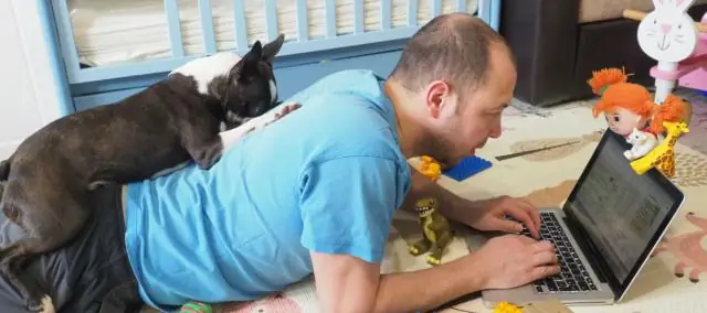 Статистическое исследование считает маловероятным, что южноафриканские ископаемые виды являются предками человека