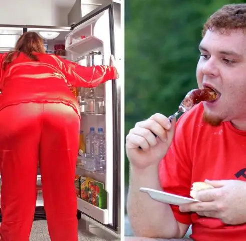 Исследователи обнаружили «дневной сон», ген, подавляющий сиесту: открытие проливает свет на то, как дневной сон и бодрствование способствуют выживанию