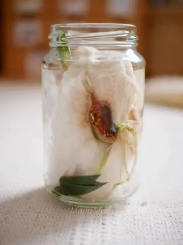 Отключение роста, чтобы цветы росли