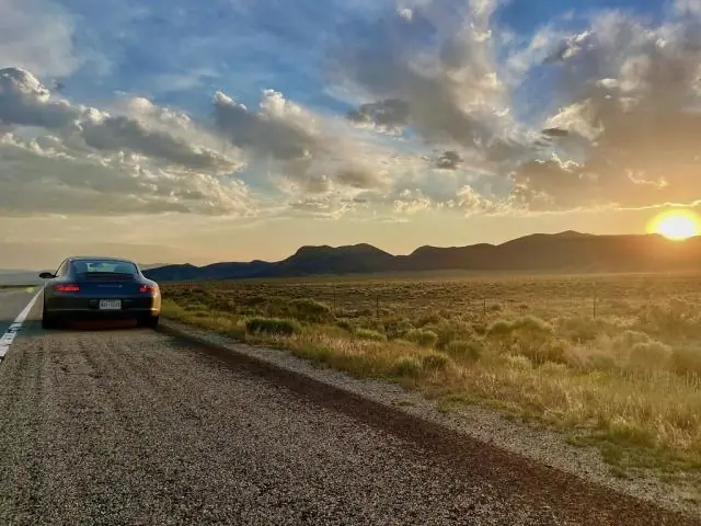 Новое исследование точно предсказывает урожай австралийской пшеницы за несколько месяцев до сбора урожая