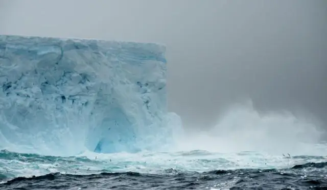 Бактериальные сообщества для системы очистки сточных вод