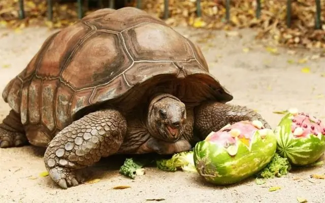 Производство продуктов питания при сохранении биоразнообразия: экологи-аграрии призывают к совместному мышлению для сохранения природы