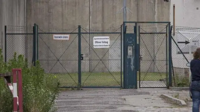 Сбежавшие домашние попугаи теперь натурализованы в 23 штатах США, показало исследование