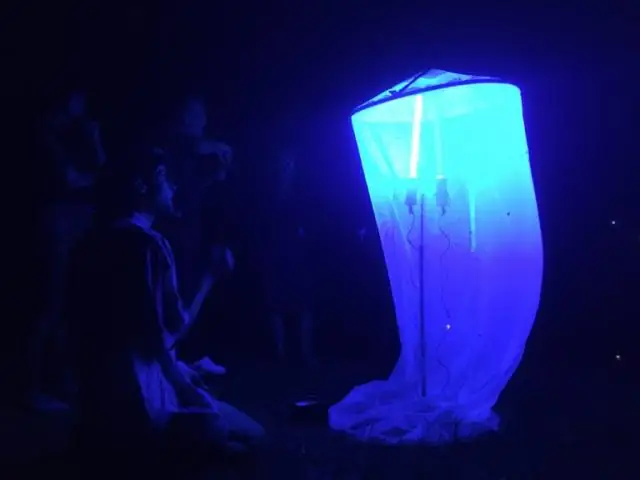 Картирование микробных симбиозов в лесах