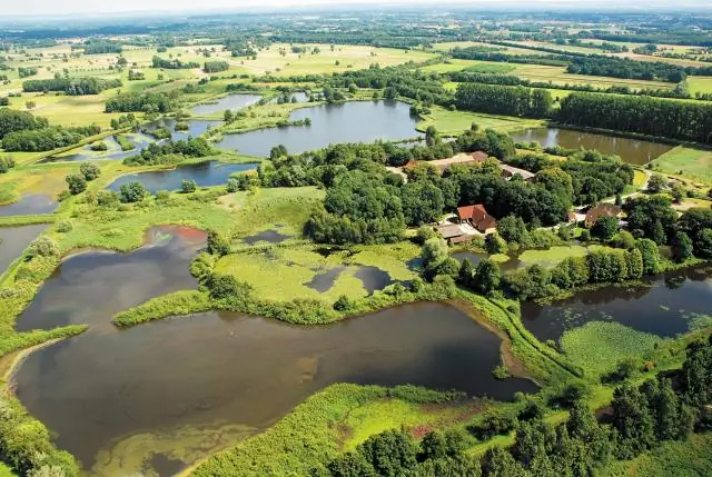 Древние пруды с рыбой в боливийской саванне способствовали человеческому поселению: подробное изучение таксонов подтверждает намеренное сохранение среды обитания рыб в пищу