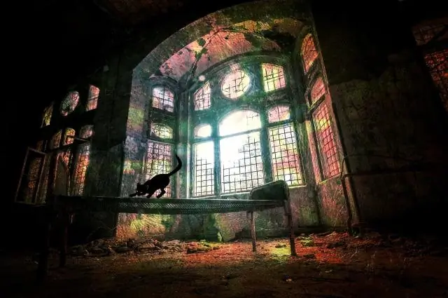 Клопы появились более 100 миллионов лет назад