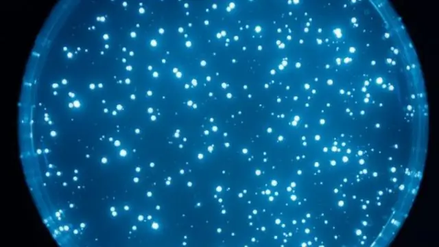 После исследований GWAS, как сузить поиск генов?