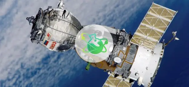 Генетическое открытие может улучшить качество кукурузы и урожайность: исследование под руководством Рутгерса может принести пользу миллионам людей, которые полагаются на кукурузу в качестве источника 