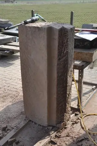 Сначала формируется пространственная организация ДНК, потом все остальное