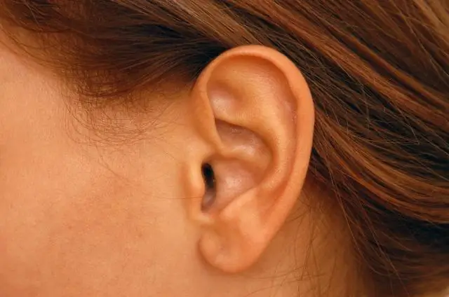 Повсеместная деградация вечной мерзлоты наблюдается в высокогорных районах Арктики: недавнее повышение летних температур оказывает серьезное влияние на ландшафт