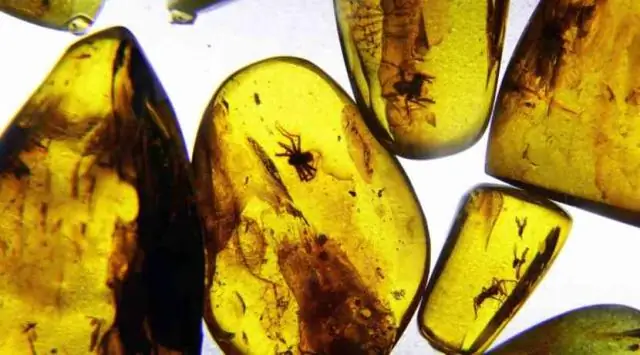 Искусственные бактерии могут быть недостающим звеном в хранении энергии