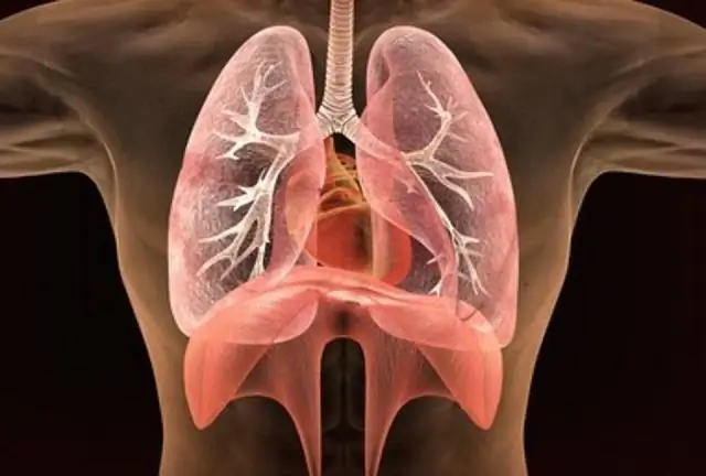 Изменение климата влияет на генетическое разнообразие вида: анализ генома альпийского сурка