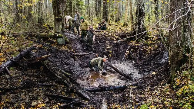 Мертвые корни удваивают потерю береговой линии в Персидском заливе: гибель растений в результате таких волнений, как разлив нефти Deepwater Horizon, ускоряет потерю береговой линии