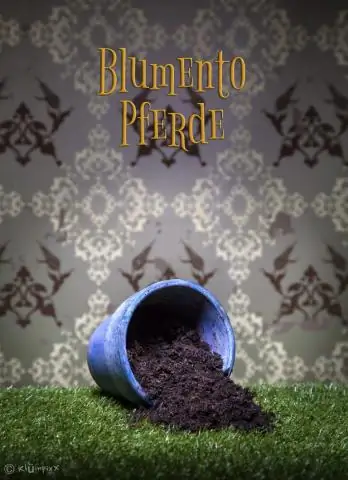 Ночной свет вреден для земноводных, новое исследование показывает: Воздействие ночного света может сделать амфибий более восприимчивыми к дополнительным стрессовым факторам