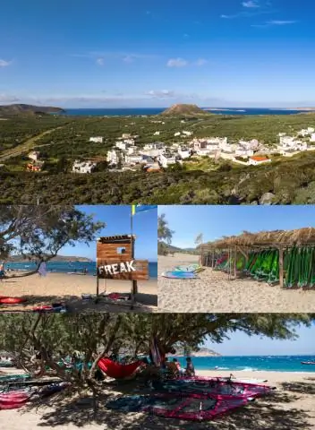 Климат стимулирует новое движение китов