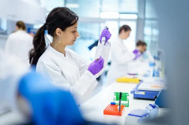 Новое исследование исследует механику стаи птиц