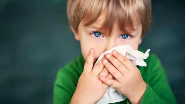 Бактерии, из которых состоит ваш ребенок: воздействие влиятельных бактерий начинается еще до нашего рождения, подтверждают новые данные