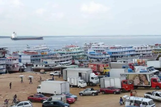 Воздействие человека на деятельность и социальное поведение городских обезьян-капуцинов