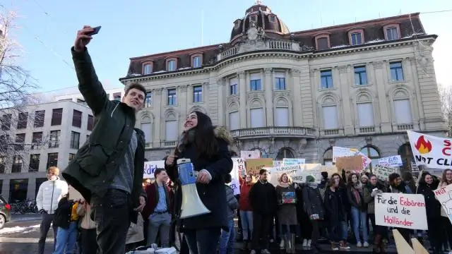 Питьевые станции для коал могут уменьшить воздействие изменения климата: эксперт призывает к срочным действиям по сохранению знаковых австралийских видов