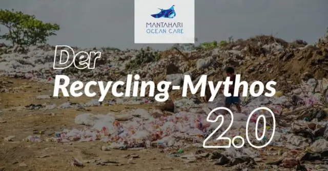 Токсичные металлы обнаружены в репродуктивных органах находящихся под угрозой исчезновения угрей: тайна сокращения популяции может быть связана с тем, что угри пожирают собственные скелеты