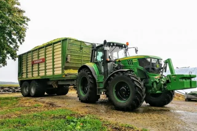 Олени на северо-востоке США более подвержены истощению, чем олени на западе