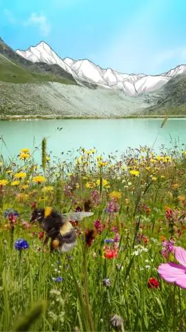 Может ли изменение климата сделать Сибирь более пригодной для жизни?