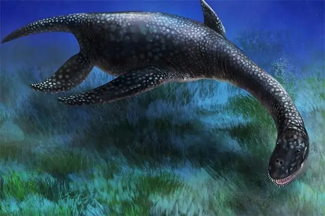 Жизнь во льдах Антарктиды отражает человеческие болезни