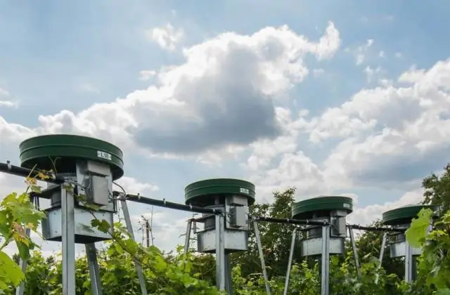 Выгоды от изменения климата для гигантских буревестников