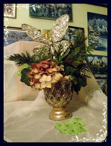 Дети птеродактилей могли летать с рождения: открытие показало, что вымершая летающая рептилия обладала замечательной способностью летать с рождения