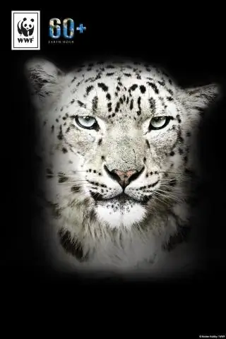 Обезьяны сталкиваются с угрозой исчезновения из-за изменения климата