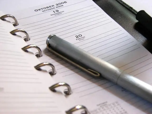 Дельфины, как и мы, формируют дружбу благодаря общим интересам, показало исследование