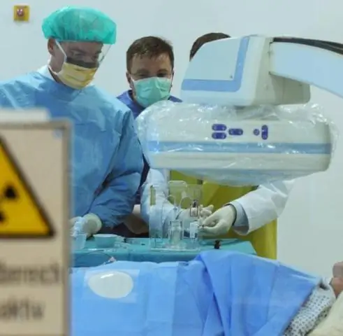 Исследование выявило ключевой фактор детоубийства среди шимпанзе