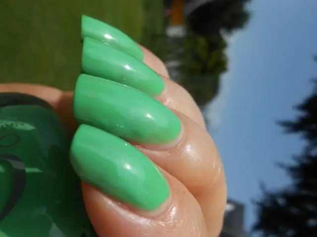 Нелегко быть зеленым: исследование раскрывает неуловимый процесс, необходимый для озеленения растений